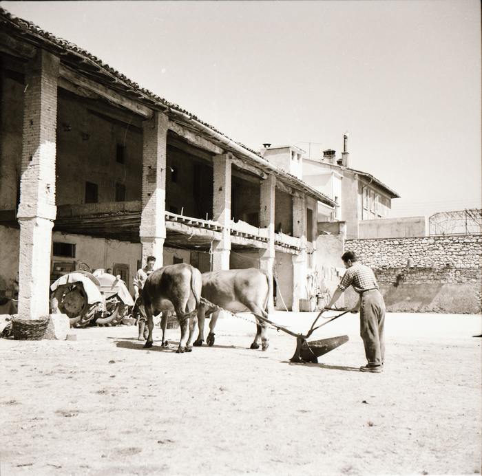 Il Paese 16 Raffaele Paletti